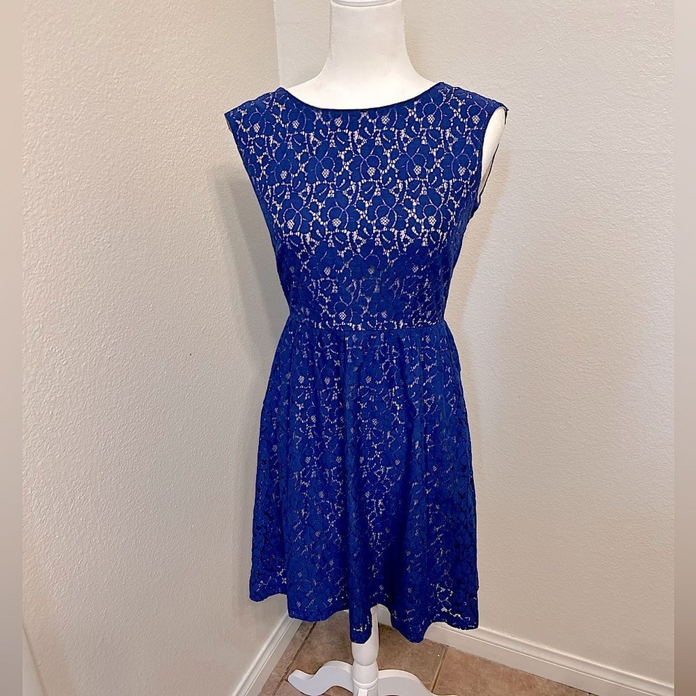 Blue Lace Fit and Flare  Formal/Casual short knee length  Dress